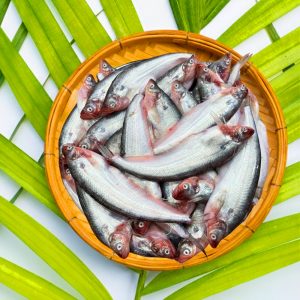 বিলের পাবদা মাছ (কেজিতে ১২–১৮ পিস) | Beel Pabda Fish (12–18 pcs per kg)