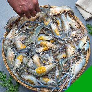 fresh dima chingri 25-30 pcs kishoreganj