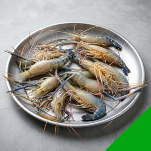 fresh golda chingri 8 10 pcs per kg, kishoreganj haor prawn, large golda shrimp