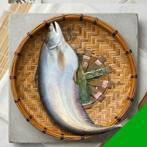 fresh boal fish 3-4 kg dhanu river kishoreganj