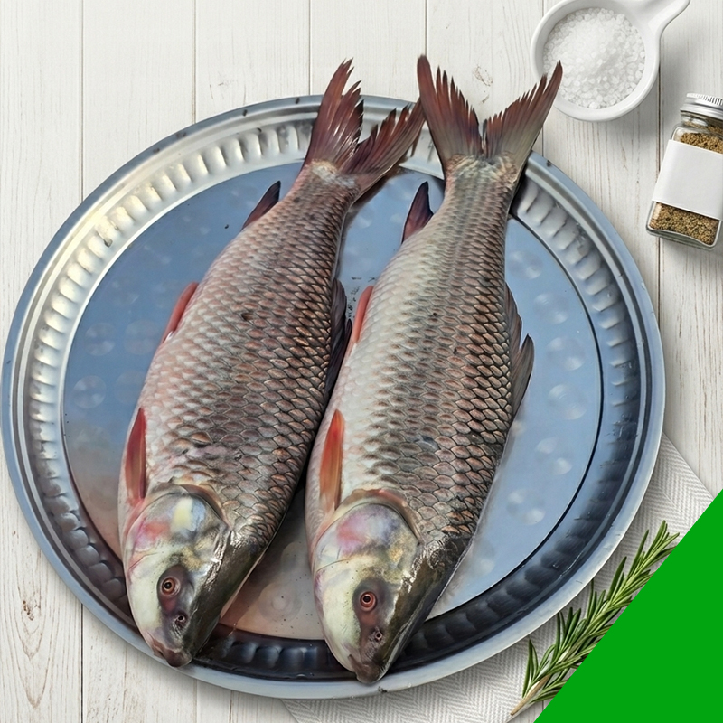 fresh rohu fish 2-5 kg, river rohu fish, Bangladesh fish