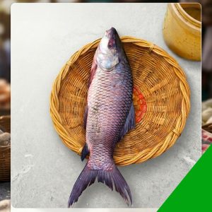 fresh rohu fish 2-5 kg, river rohu fish, Bangladesh fish